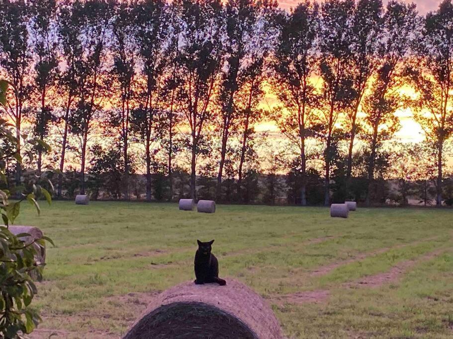 Ferienwohnung Kompass Nahe Der Ostsee Im Gruenen Bad Doberan Esterno foto