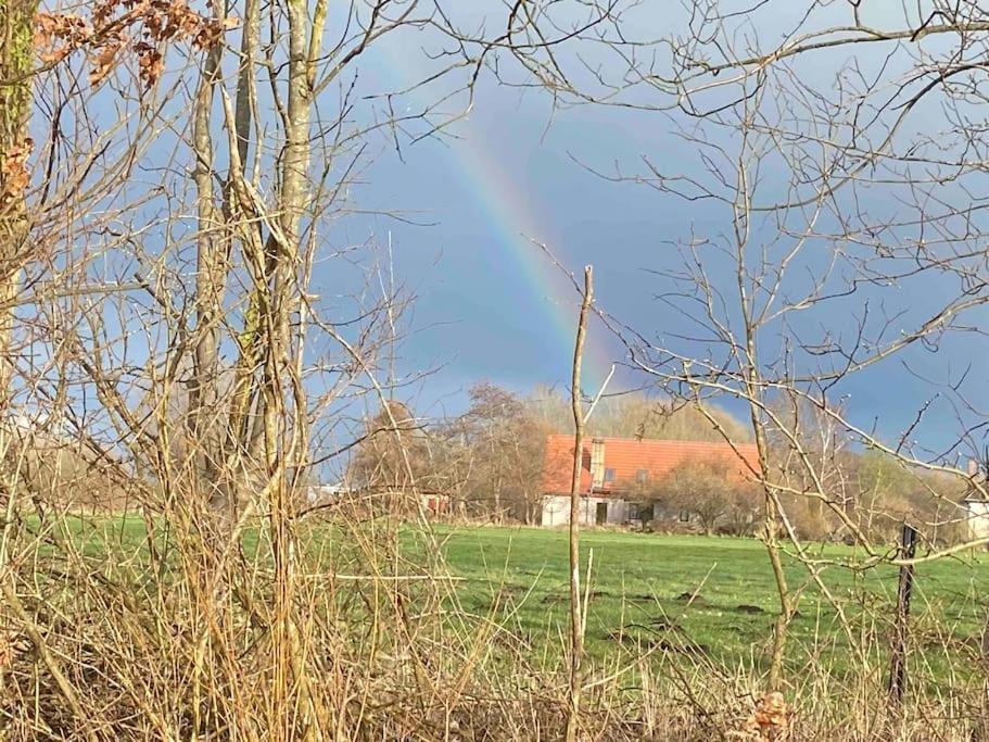 Ferienwohnung Kompass Nahe Der Ostsee Im Gruenen Bad Doberan Esterno foto